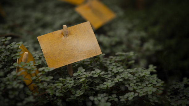 在花店的植物上的标志，宏观照片图片下载