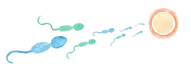 怀孕的插图图片下载