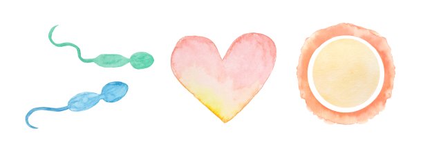 怀孕的插图图片下载