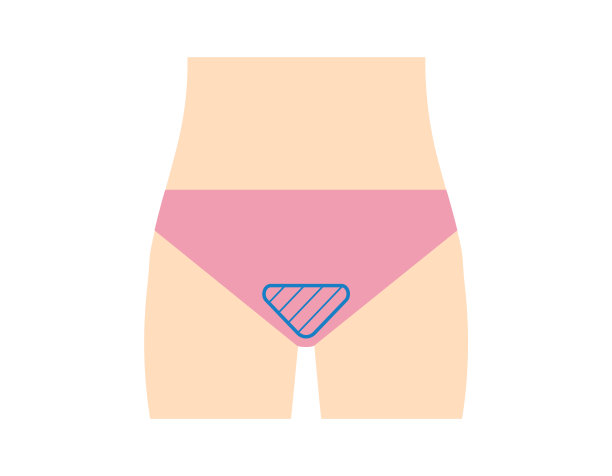 身体部位。脱毛。女性。美。矢量插图。图片下载