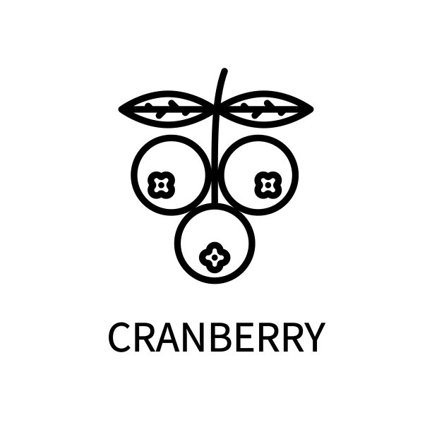 风格简单的蔓越莓线条图标。健康食品。自然的产品。矢量符号在一个简单的风格孤立在一个白色的背景图片下载
