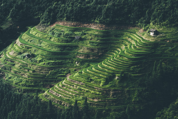 中国传统阶地,贵州,中国。图片下载