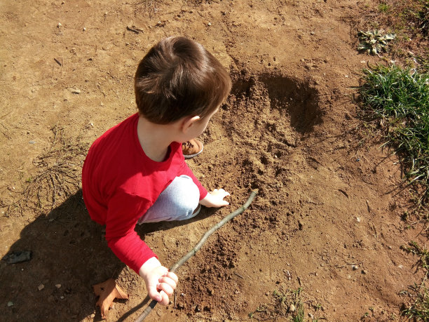 一个男孩在公园里玩图片下载
