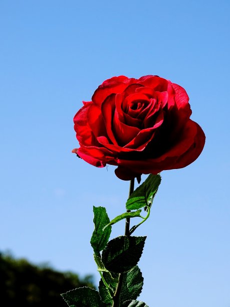 天空中的粉色图片下载