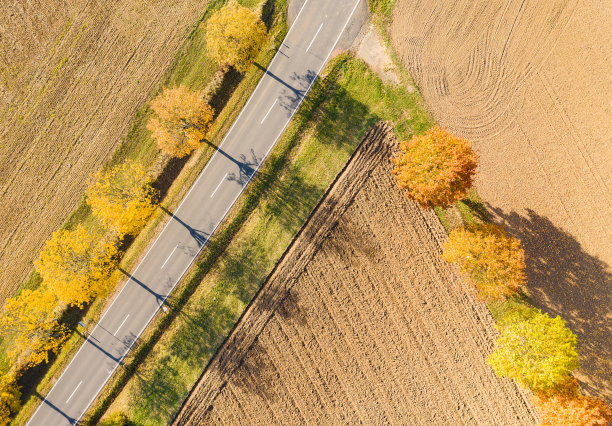 在德国的陶纳斯，沿着道路的秋天褪色的树木图片下载