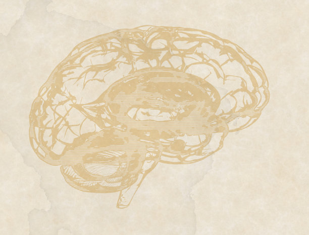 人类大脑复古背景图片下载