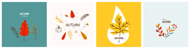 极简的秋天背景向量集。秋天的横幅与最小的叶子，树，植物树枝，南瓜，浆果广告，社交媒体设计在简单时尚的平面风格图片下载