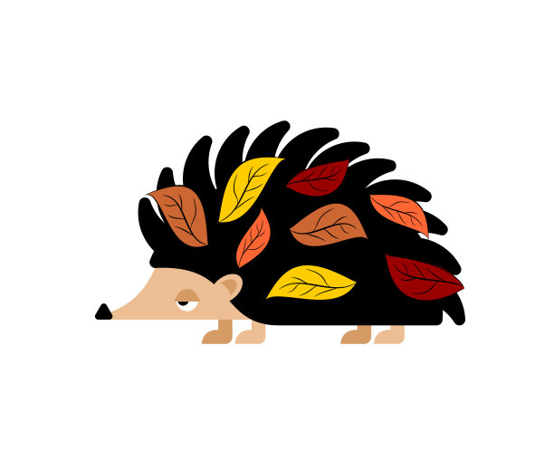 刺猬与叶子孤立。身上有针的小动物。图片下载