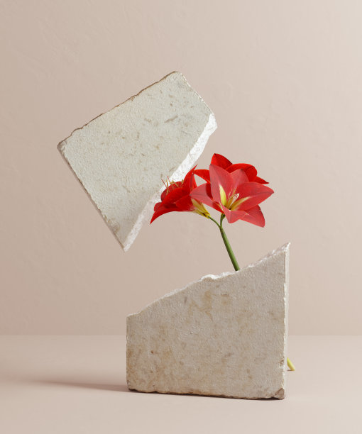 花与石抽象极简的场景，美概念的力量，3d插画。美容产品展示背景，物品放置背景。图片下载