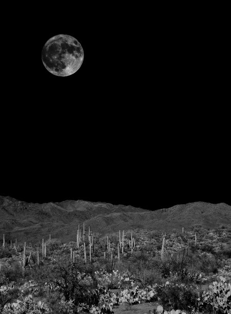 沙漠之月索诺拉沙漠图片下载