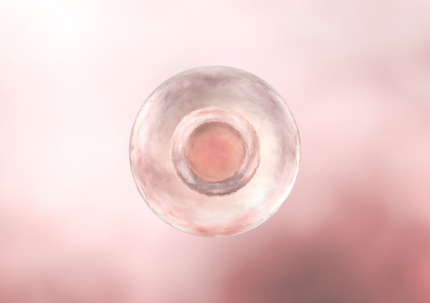 胚胎干细胞图片下载