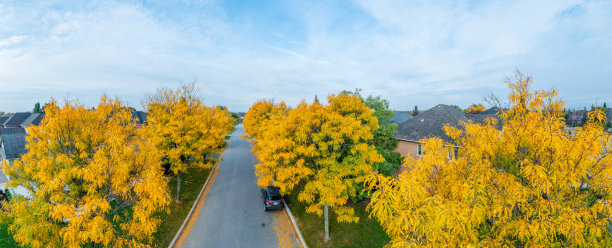 住宅分区鸟瞰图图片下载