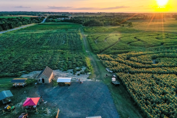 加拿大库克敦，夕阳下27号公路上的农场图片下载