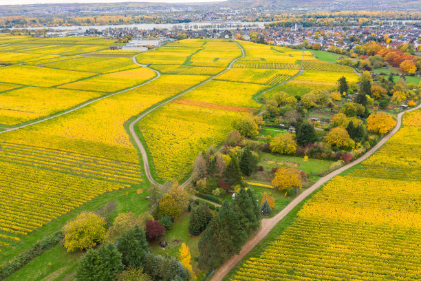 莱茵高的秋景图片下载