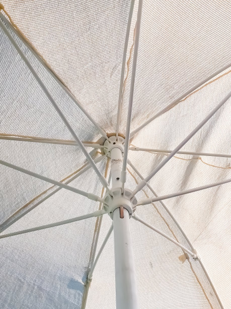 在阳伞下图片下载