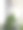 Zamiakulkas是现代办公室里的室内植物图片下载