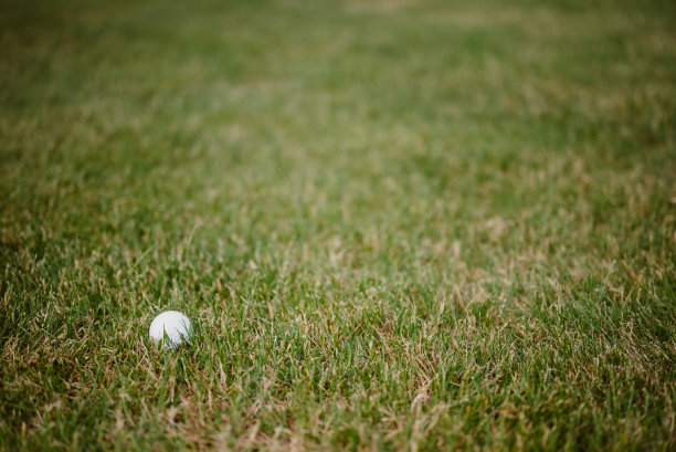 绿色草坪上的一个高尔夫球图片下载