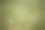 绿色草坪上的一个高尔夫球图片下载