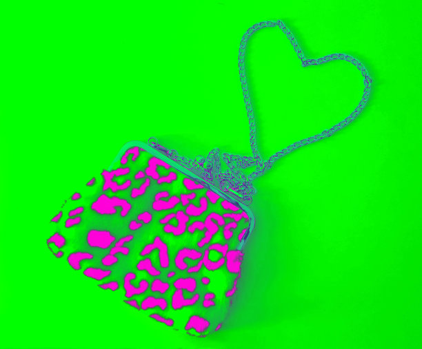 时尚的豹纹包与心形链图片下载