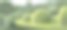 公园。春天。植物和森林正在开花。新鲜的空气。插图。图片下载