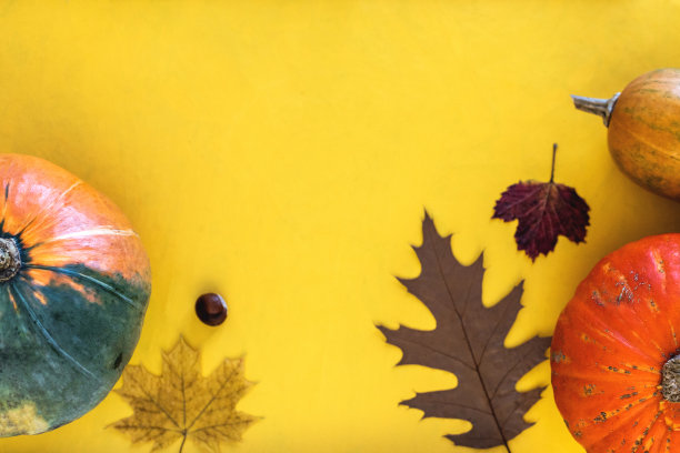 黄色背景上有秋叶的南瓜图片下载