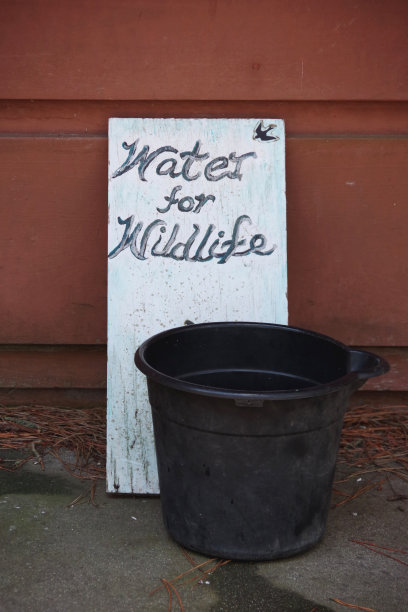 水对野生动物图片下载