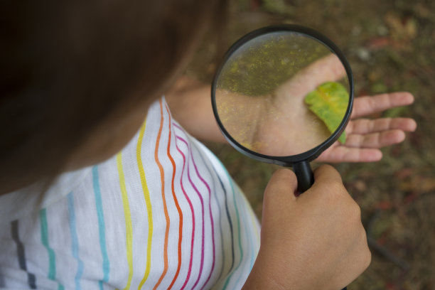 小探险家图片下载