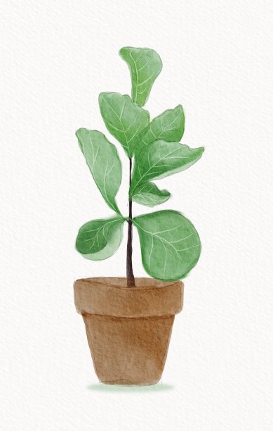 水彩小提琴树叶无花果树图片下载