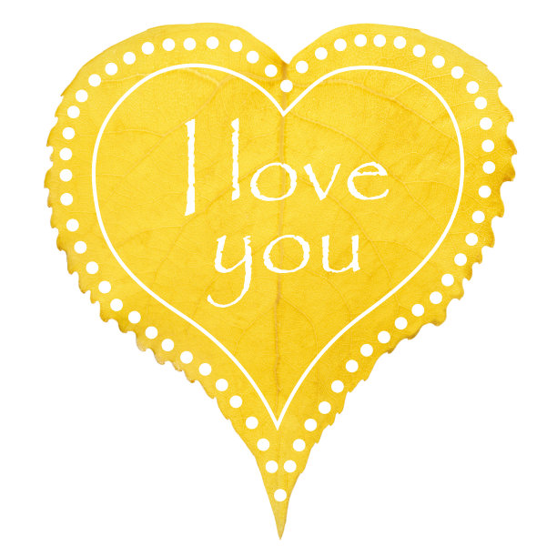 树叶的心图片下载