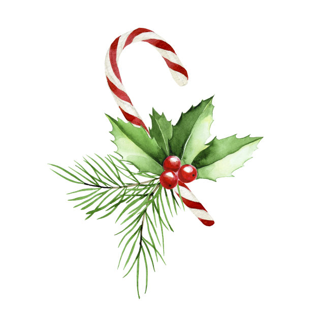 水彩绘画。由冷杉树枝和冬青制成的棒棒糖组成的圣诞节作文。装饰新年，圣诞节图片下载