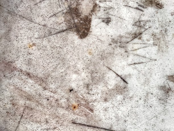 肮脏的表图片下载