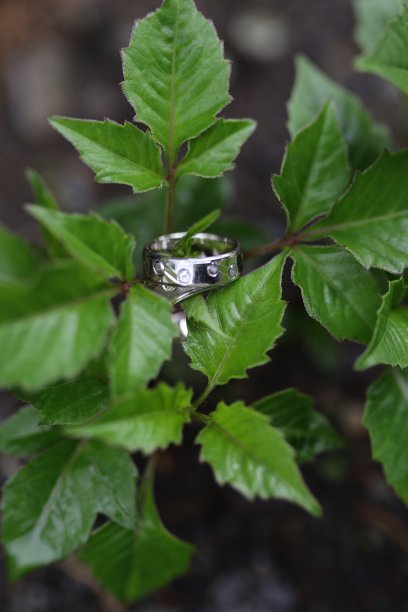 结婚戒指图片下载