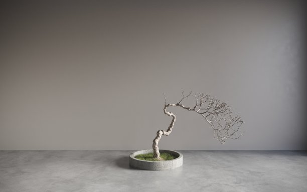 空房间;灰泥墙配盆景树盆景;模板设计;三维渲染，三维插图图片下载
