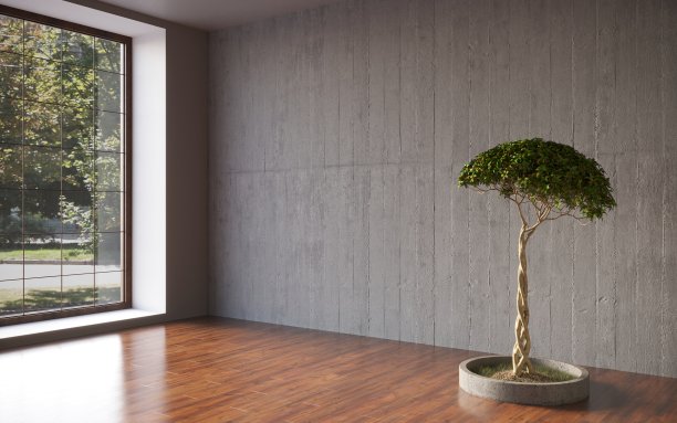 空房间;灰泥墙配盆景树盆景;模板设计;三维渲染，三维插图图片下载