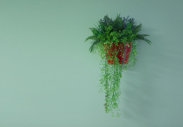 花在花盆图片下载