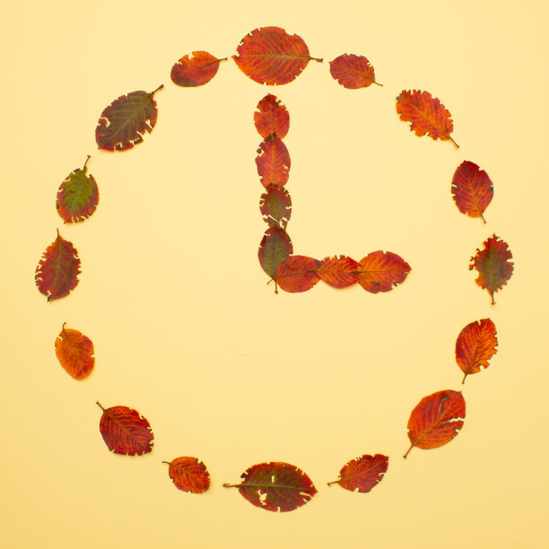 由秋叶制成的钟。复制空间的最小概念。图片下载