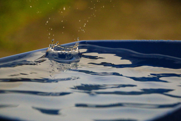 花园里的木桶里正下着大雨图片下载