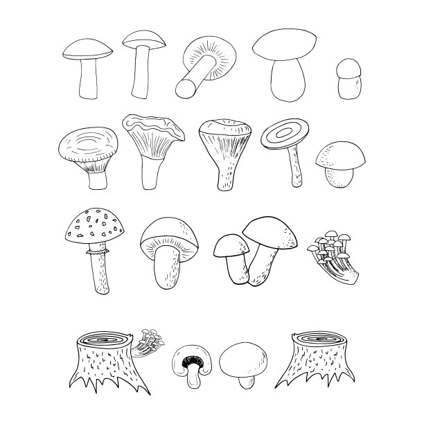 森林蘑菇集素描手绘涂鸦。图标，卡片，海报，矢量，单色。牛肉菌，苍蝇木耳，鸡油菌，红菇，香菇，蜂蜜木耳，树桩。自然,食物成分。图片下载