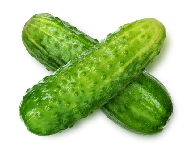 两根绿色的黄瓜交错分离在白色的背景上。图片下载