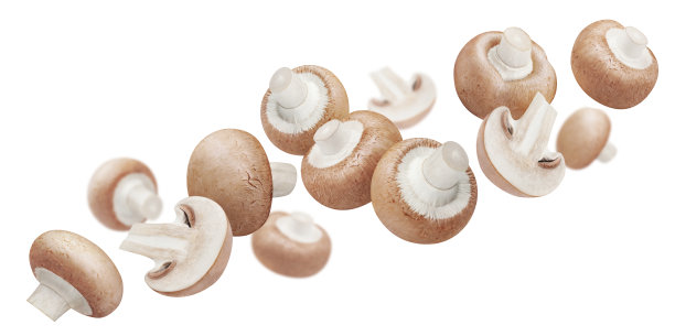 飞香菇在白色上图片下载