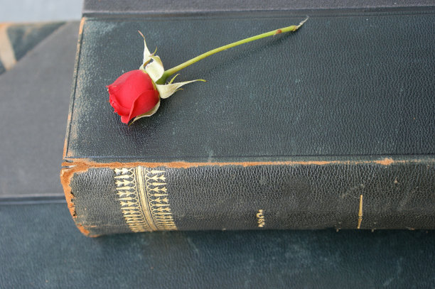 古董书和玫瑰。有金字的旧书。红玫瑰躺在旧诗集上图片下载