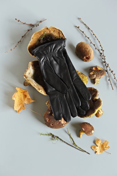 菌丝体皮革手套。由真菌孢子和植物纤维制成的皮革替代品。蘑菇纺织品的创新材料。美国卫生工程师协会(asse)图片下载