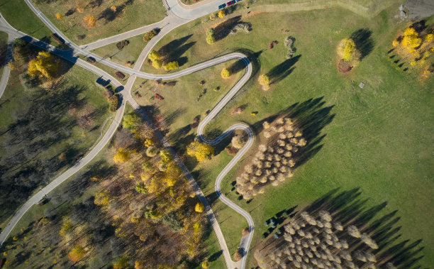 森林道路鸟瞰图。图片下载