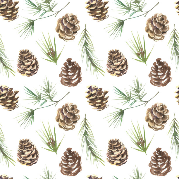 无缝格局与手绘水彩绿色松枝，松果白色背景。可爱的设计为圣诞快乐冬季纺织品设计，剪贴簿纸，装饰品图片下载