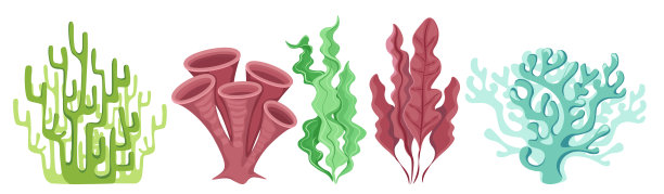 卡通海洋植物，珊瑚礁或水下海藻。水族馆和海底藻类，残骸，海带，海带海草图片下载