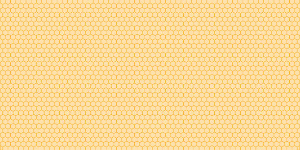 孤立蜂窝背景六边形简单图片下载