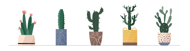 时髦的收藏家可爱的仙人掌植物在花盆包装图标。图片下载