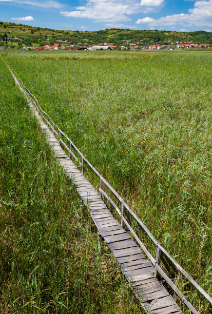 在罗马尼亚西北部的克卢日县，在Sic芦苇保护区，夏天的时候，在蓝天白云下，Sic村庄和小山的背景下，从高处俯瞰Sic芦苇保护区的旧木板路，旁边有栏杆。图片下载