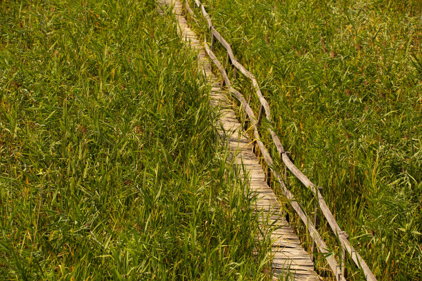 在罗马尼亚西北部的克卢日县，古老的木制木板路，旁边有栏杆，夏天的时候，蓝天下有白云图片下载