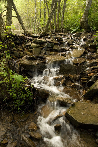 比斯卡扎迪山脉山间溪流中的小瀑布图片下载